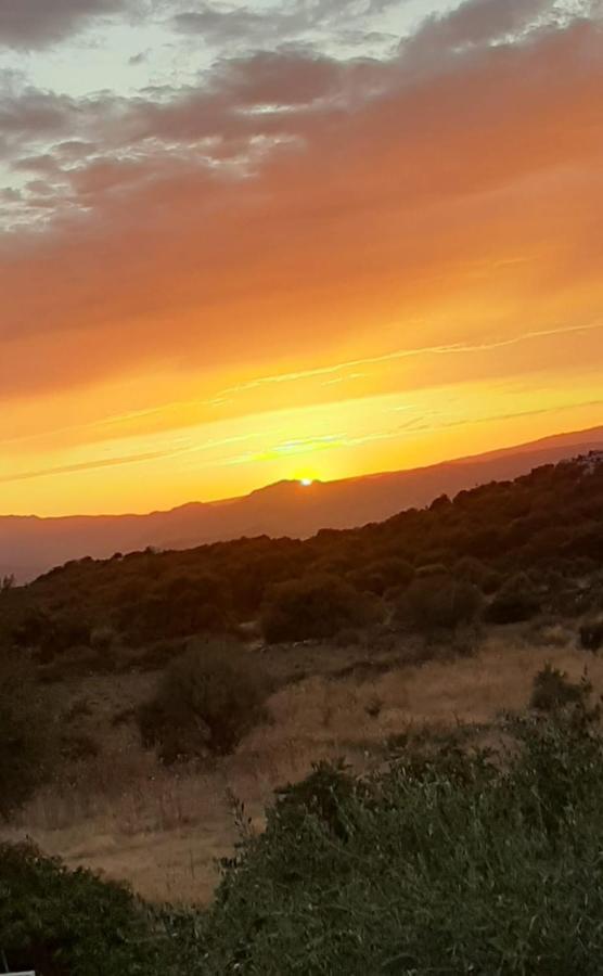 B&B Valverde Dorgali Bagian luar foto