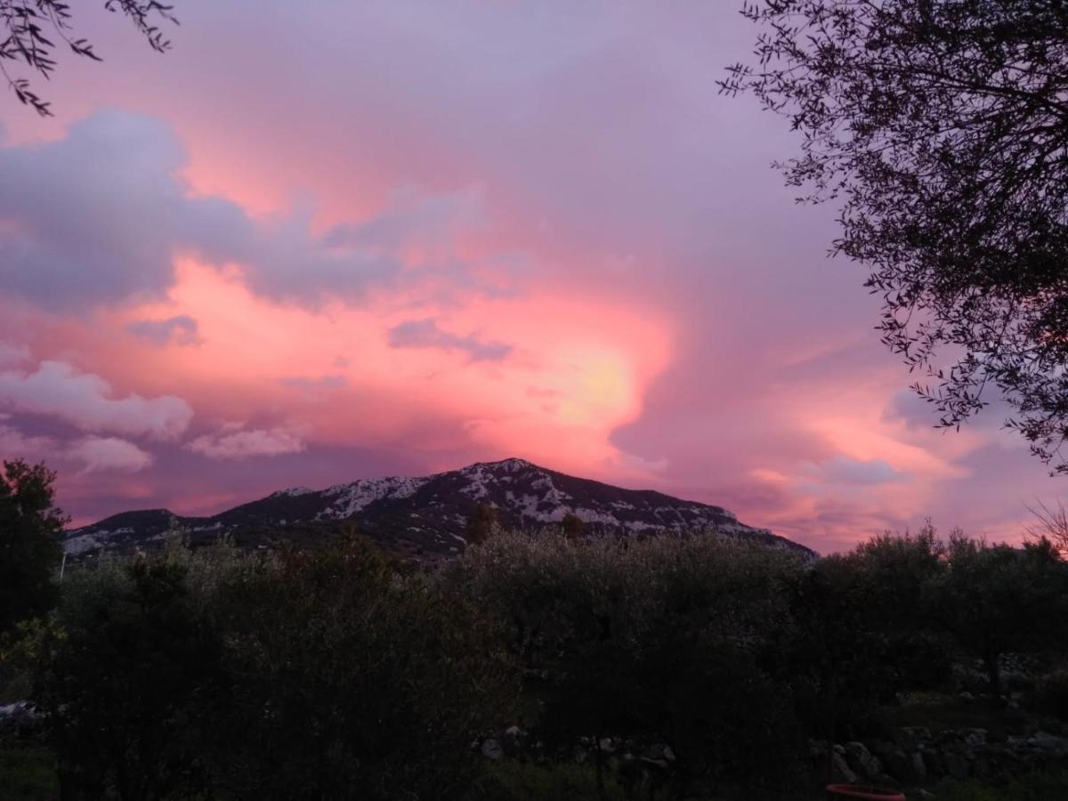 B&B Valverde Dorgali Bagian luar foto