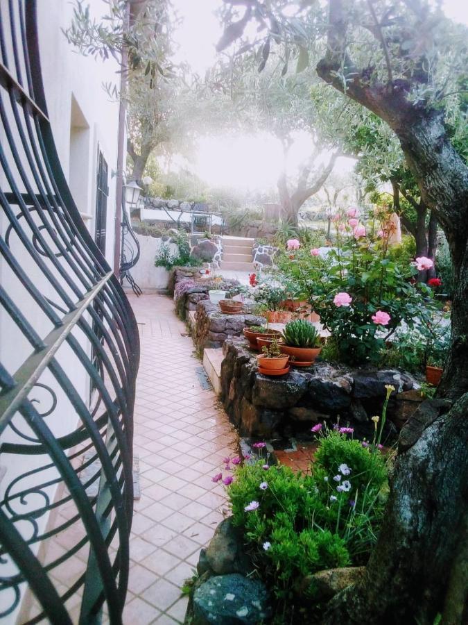 B&B Valverde Dorgali Bagian luar foto