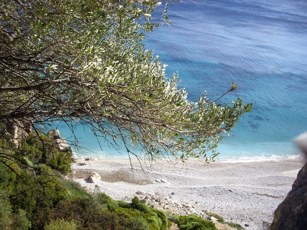B&B Valverde Dorgali Bagian luar foto