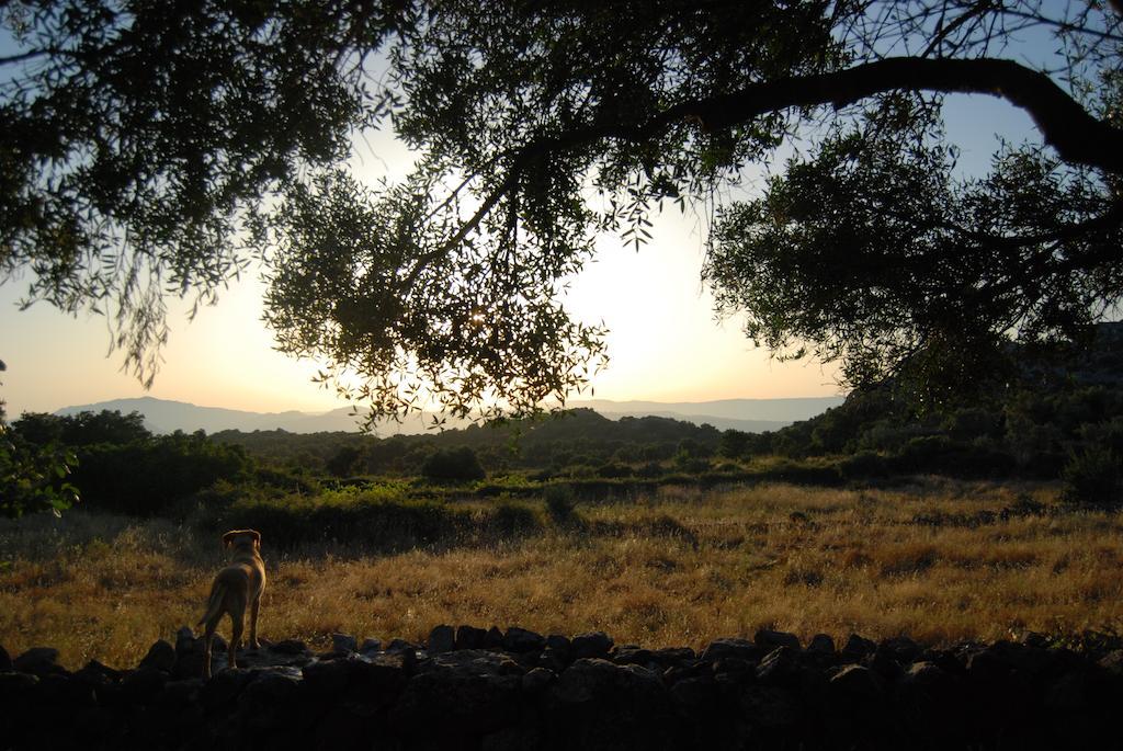 B&B Valverde Dorgali Bagian luar foto